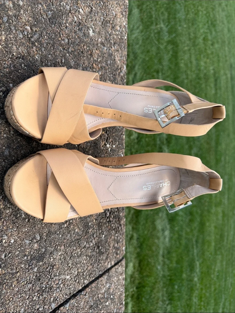 Charles by Charles David Beige Wedge Sandals with Cork Platform